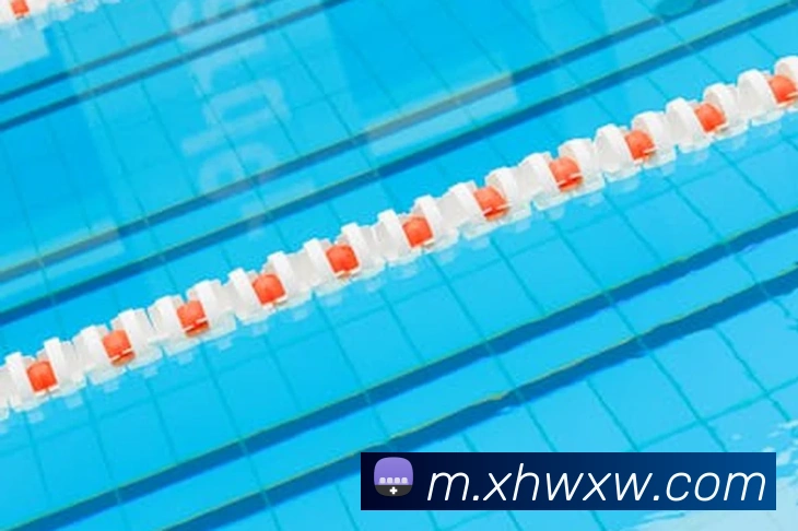 用户互动社区